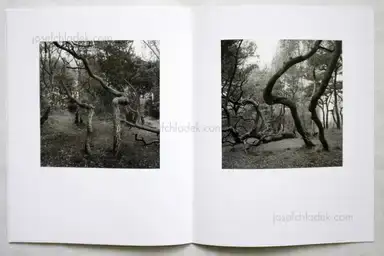 Sample page 2 for book "Johansson, Gerry – Gerry Johansson - Bildkonstnärsfondens Stora stipendium 2012" Sample page 2 for book "Johansson, Gerry – Gerry Johansson - Bildkonstnärsfondens Stora stipendium 2012"