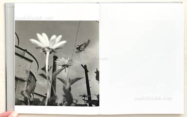 Sample page 8 for book  Issei Suda – The Work of a Lifetime - Photographs 1968 - 2006
