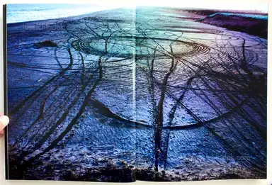 Sample page 22 for book "Shiga, Lieko – Lieko Shiga - Rasen Kaigan" Sample page 22 for book "Shiga, Lieko – Lieko Shiga - Rasen Kaigan"