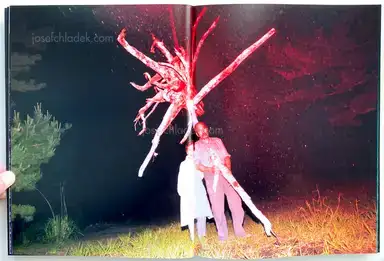 Sample page 20 for book "Shiga, Lieko – Lieko Shiga - Rasen Kaigan" Sample page 20 for book "Shiga, Lieko – Lieko Shiga - Rasen Kaigan"