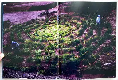 Sample page 19 for book "Shiga, Lieko – Lieko Shiga - Rasen Kaigan" Sample page 19 for book "Shiga, Lieko – Lieko Shiga - Rasen Kaigan"