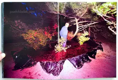 Sample page 14 for book "Shiga, Lieko – Lieko Shiga - Rasen Kaigan" Sample page 14 for book "Shiga, Lieko – Lieko Shiga - Rasen Kaigan"