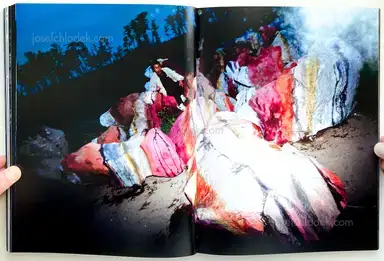 Sample page 6 for book "Shiga, Lieko – Lieko Shiga - Rasen Kaigan" Sample page 6 for book "Shiga, Lieko – Lieko Shiga - Rasen Kaigan"