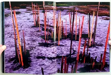 Sample page 3 for book "Shiga, Lieko – Lieko Shiga - Rasen Kaigan" Sample page 3 for book "Shiga, Lieko – Lieko Shiga - Rasen Kaigan"