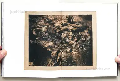 Sample page 2 for book "Bush, Lewis – Lewis Bush - Depravity’s Rainbow" Sample page 2 for book "Bush, Lewis – Lewis Bush - Depravity’s Rainbow"