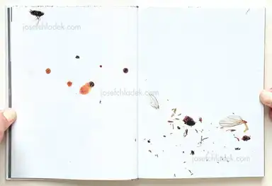 Sample page 15 for book "Gosnold, Richard – Richard Gosnold - It Starts With Silence" Sample page 15 for book "Gosnold, Richard – Richard Gosnold - It Starts With Silence"