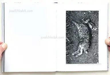 Sample page 8 for book "Gosnold, Richard – Richard Gosnold - It Starts With Silence" Sample page 8 for book "Gosnold, Richard – Richard Gosnold - It Starts With Silence"