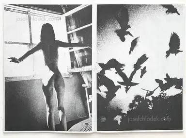 Sample page 12 for book "Kurama – Kurama - Cascata" Sample page 12 for book "Kurama – Kurama - Cascata"