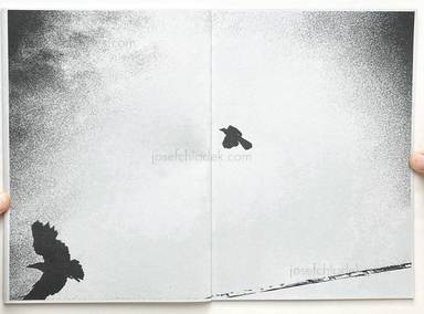 Sample page 12 for book  Kurama – Cascata