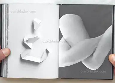 Sample page 5 for book "Kanai, Francis – Francis Kanai - Everything is a Self-Portrait" Sample page 5 for book "Kanai, Francis – Francis Kanai - Everything is a Self-Portrait"