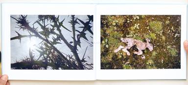 Sample page 6 for book "Day, Corinne – Corinne Day - May the Circle Remain Unbroken" Sample page 6 for book "Day, Corinne – Corinne Day - May the Circle Remain Unbroken"