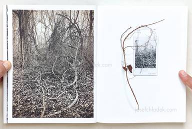 Sample page 16 for book "Anzenberger, Regina – Regina Anzenberger - Roots & Waltz" Sample page 16 for book "Anzenberger, Regina – Regina Anzenberger - Roots & Waltz"