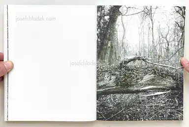 Sample page 15 for book "Anzenberger, Regina – Regina Anzenberger - Roots & Waltz" Sample page 15 for book "Anzenberger, Regina – Regina Anzenberger - Roots & Waltz"