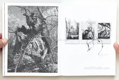 Sample page 14 for book "Anzenberger, Regina – Regina Anzenberger - Roots & Waltz" Sample page 14 for book "Anzenberger, Regina – Regina Anzenberger - Roots & Waltz"