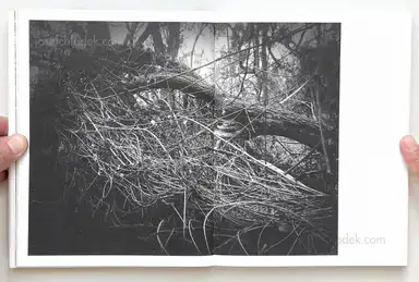 Sample page 13 for book "Anzenberger, Regina – Regina Anzenberger - Roots & Waltz" Sample page 13 for book "Anzenberger, Regina – Regina Anzenberger - Roots & Waltz"