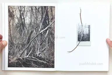 Sample page 12 for book "Anzenberger, Regina – Regina Anzenberger - Roots & Waltz" Sample page 12 for book "Anzenberger, Regina – Regina Anzenberger - Roots & Waltz"