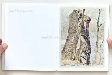 Sample page 11 for book "Anzenberger, Regina – Regina Anzenberger - Roots & Waltz" Sample page 11 for book "Anzenberger, Regina – Regina Anzenberger - Roots & Waltz"