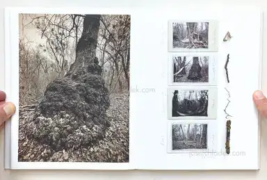 Sample page 10 for book "Anzenberger, Regina – Regina Anzenberger - Roots & Waltz" Sample page 10 for book "Anzenberger, Regina – Regina Anzenberger - Roots & Waltz"