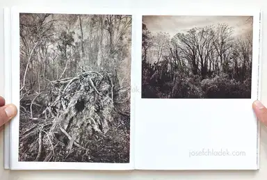 Sample page 9 for book "Anzenberger, Regina – Regina Anzenberger - Roots & Waltz" Sample page 9 for book "Anzenberger, Regina – Regina Anzenberger - Roots & Waltz"