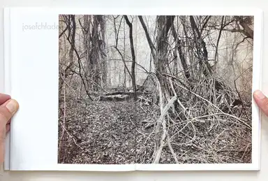 Sample page 8 for book "Anzenberger, Regina – Regina Anzenberger - Roots & Waltz" Sample page 8 for book "Anzenberger, Regina – Regina Anzenberger - Roots & Waltz"