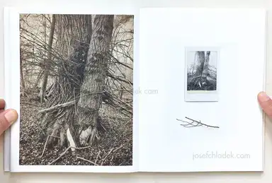 Sample page 7 for book "Anzenberger, Regina – Regina Anzenberger - Roots & Waltz" Sample page 7 for book "Anzenberger, Regina – Regina Anzenberger - Roots & Waltz"