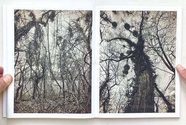 Sample page 11 for book  Regina Anzenberger – Roots & Waltz