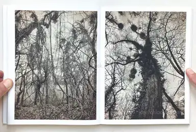 Sample page 6 for book "Anzenberger, Regina – Regina Anzenberger - Roots & Waltz" Sample page 6 for book "Anzenberger, Regina – Regina Anzenberger - Roots & Waltz"