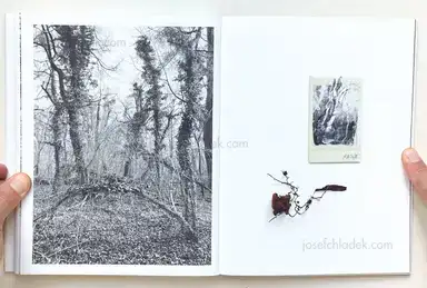 Sample page 3 for book "Anzenberger, Regina – Regina Anzenberger - Roots & Waltz" Sample page 3 for book "Anzenberger, Regina – Regina Anzenberger - Roots & Waltz"