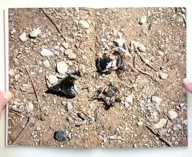 Sample page 6 for book "Sotiropoulos, Christos – Christos Sotiropoulos - How Kate Bush didn’t save me from anything" Sample page 6 for book "Sotiropoulos, Christos – Christos Sotiropoulos - How Kate Bush didn’t save me from anything"