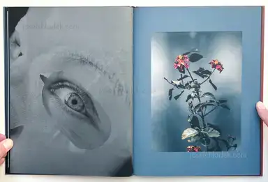 Sample page 10 for book "Merlini, Francesco – Francesco Merlini - Better in the Dark than His Rider" Sample page 10 for book "Merlini, Francesco – Francesco Merlini - Better in the Dark than His Rider"