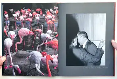 Sample page 9 for book "Merlini, Francesco – Francesco Merlini - Better in the Dark than His Rider" Sample page 9 for book "Merlini, Francesco – Francesco Merlini - Better in the Dark than His Rider"