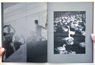 Sample page 8 for book "Merlini, Francesco – Francesco Merlini - Better in the Dark than His Rider" Sample page 8 for book "Merlini, Francesco – Francesco Merlini - Better in the Dark than His Rider"