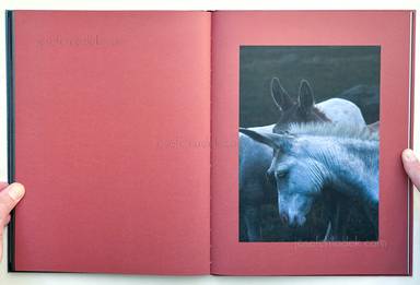 Sample page 5 for book "Merlini, Francesco – Francesco Merlini - Better in the Dark than His Rider" Sample page 5 for book "Merlini, Francesco – Francesco Merlini - Better in the Dark than His Rider"