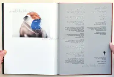 Sample page 1 for book "Merlini, Francesco – Francesco Merlini - Better in the Dark than His Rider" Sample page 1 for book "Merlini, Francesco – Francesco Merlini - Better in the Dark than His Rider"