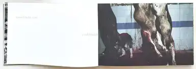 Sample page 20 for book "Chang, Simon – Simon Chang - Shepherds and the Slaughterhouse" Sample page 20 for book "Chang, Simon – Simon Chang - Shepherds and the Slaughterhouse"