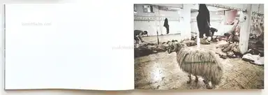 Sample page 12 for book "Chang, Simon – Simon Chang - Shepherds and the Slaughterhouse" Sample page 12 for book "Chang, Simon – Simon Chang - Shepherds and the Slaughterhouse"