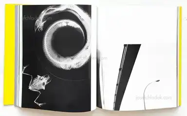 Sample page 11 for book "Tomatsu, Shomei – Shomei Tomatsu - I am king - 東松照明" Sample page 11 for book "Tomatsu, Shomei – Shomei Tomatsu - I am king - 東松照明"