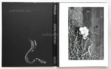 Sample page 22 for book "Helfrecht, Elena – Elena Helfrecht - Plexus" Sample page 22 for book "Helfrecht, Elena – Elena Helfrecht - Plexus"