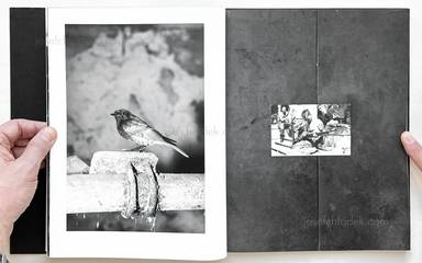 Sample page 10 for book "Helfrecht, Elena – Elena Helfrecht - Plexus" Sample page 10 for book "Helfrecht, Elena – Elena Helfrecht - Plexus"