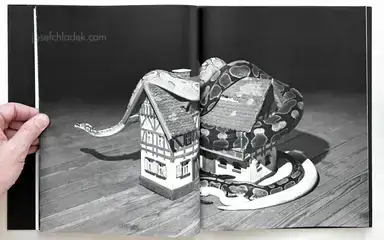 Sample page 7 for book "Helfrecht, Elena – Elena Helfrecht - Plexus" Sample page 7 for book "Helfrecht, Elena – Elena Helfrecht - Plexus"