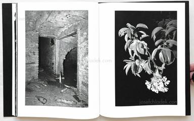 Sample page 2 for book "Helfrecht, Elena – Elena Helfrecht - Plexus" Sample page 2 for book "Helfrecht, Elena – Elena Helfrecht - Plexus"