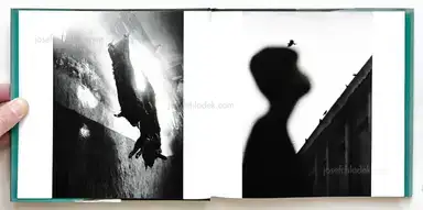 Sample page 29 for book "Fukase, Masahisa – Masahisa Fukase Yohko / 深瀬 昌久 洋子" Sample page 29 for book "Fukase, Masahisa – Masahisa Fukase Yohko / 深瀬 昌久 洋子"