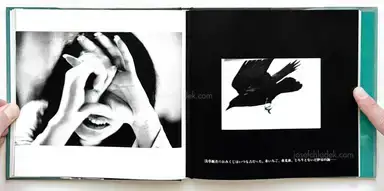Sample page 18 for book "Fukase, Masahisa – Masahisa Fukase Yohko / 深瀬 昌久 洋子" Sample page 18 for book "Fukase, Masahisa – Masahisa Fukase Yohko / 深瀬 昌久 洋子"