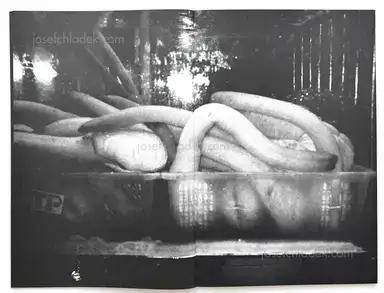 Sample page 14 for book "Kurama – Kurama - Koumori" Sample page 14 for book "Kurama – Kurama - Koumori"