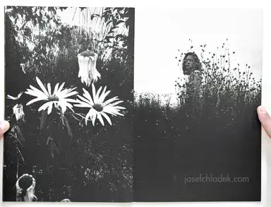 Sample page 9 for book "Kurama – Kurama - Koumori" Sample page 9 for book "Kurama – Kurama - Koumori"