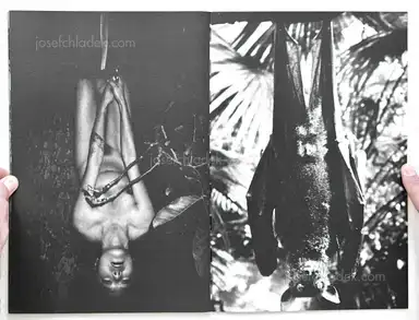 Sample page 5 for book "Kurama – Kurama - Koumori" Sample page 5 for book "Kurama – Kurama - Koumori"