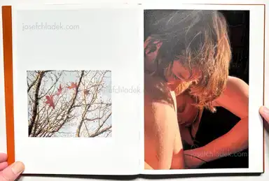 Sample page 13 for book "Ault, Adrianna – Adrianna Ault - Levee" Sample page 13 for book "Ault, Adrianna – Adrianna Ault - Levee"