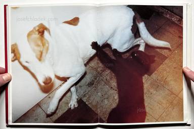 Sample page 12 for book "Billingham, Richard – Richard Billingham - Ray's a laugh" Sample page 12 for book "Billingham, Richard – Richard Billingham - Ray's a laugh"