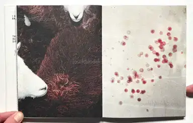 Sample page 6 for book "Jonquet, François – François Jonquet - Forage" Sample page 6 for book "Jonquet, François – François Jonquet - Forage"