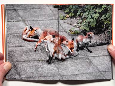 Sample page 9 for book "Alba, Carlos – Carlos Alba - I’ll Bet the Devil My Head" Sample page 9 for book "Alba, Carlos – Carlos Alba - I’ll Bet the Devil My Head"